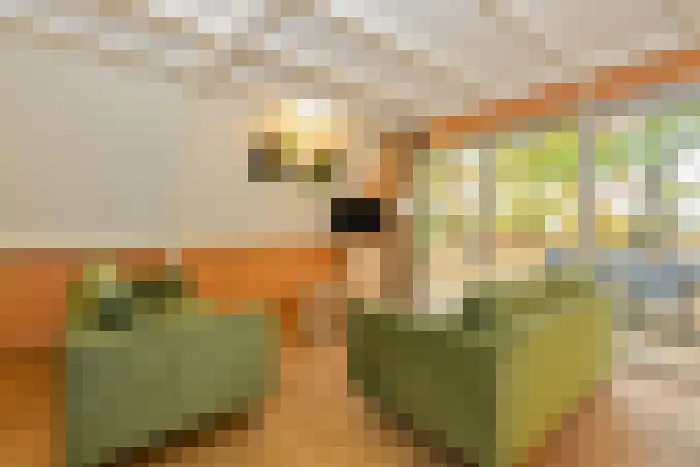 Patrijslaan 4 76 Mierlo thumbnail 8