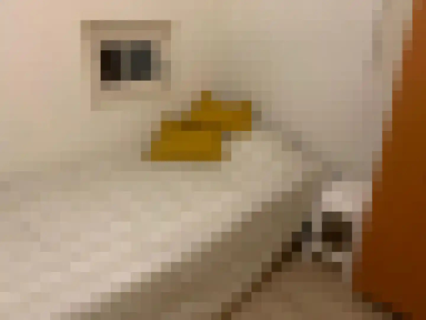 Patrijslaan 4 H 1102 Mierlo thumbnail 11