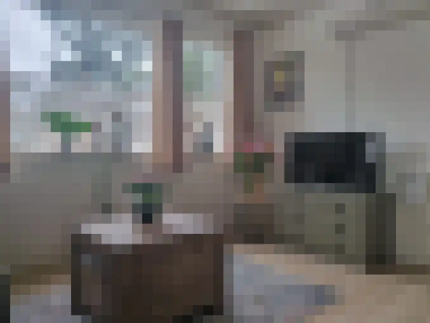 Patrijslaan 4 H 1102 Mierlo thumbnail 4