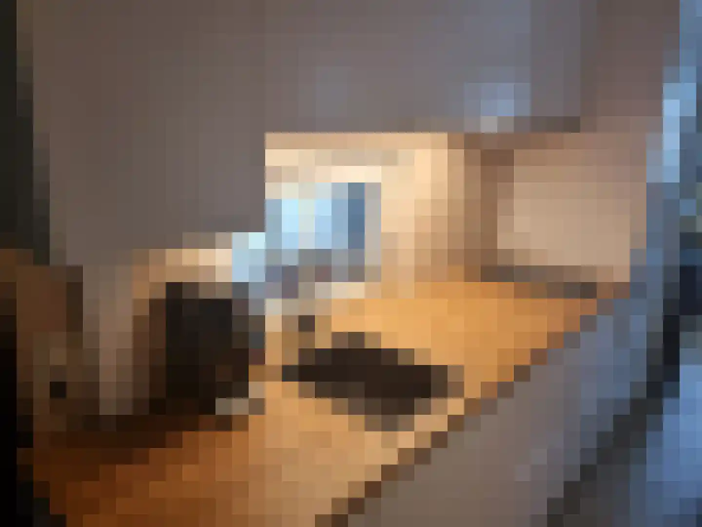 Patrijslaan 4 H 1102 Mierlo thumbnail 8