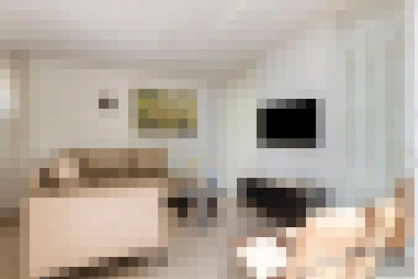 Patrijslaan 4 H 604 Mierlo thumbnail 11