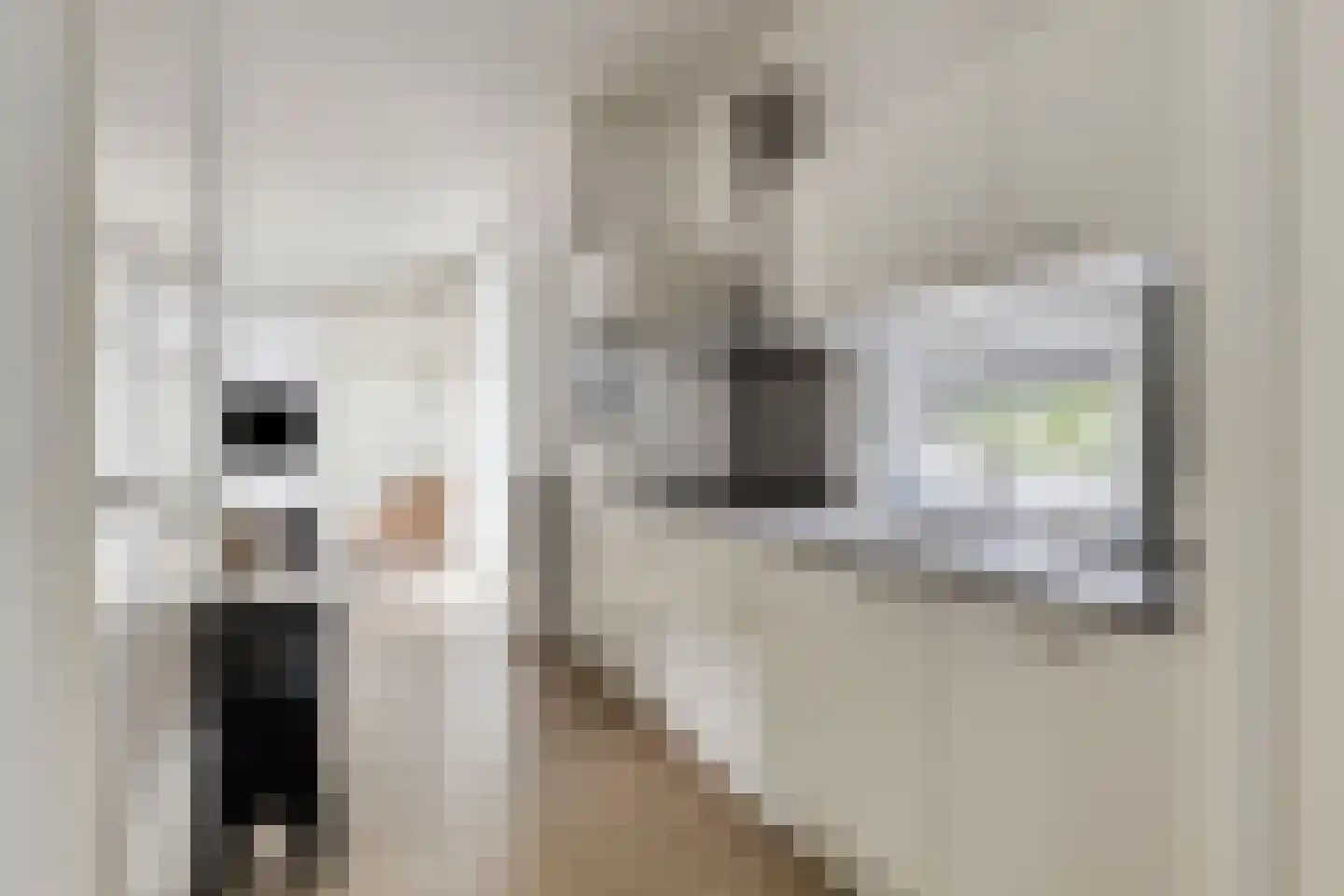 Patrijslaan 4 H 604 Mierlo thumbnail 12