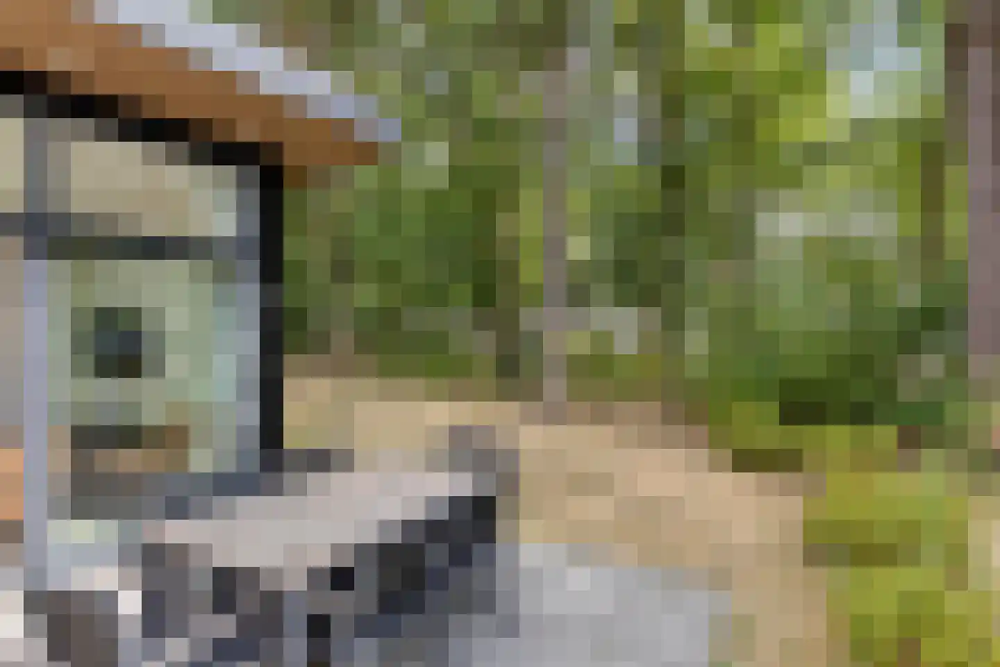 Patrijslaan 4 H 604 Mierlo thumbnail 23