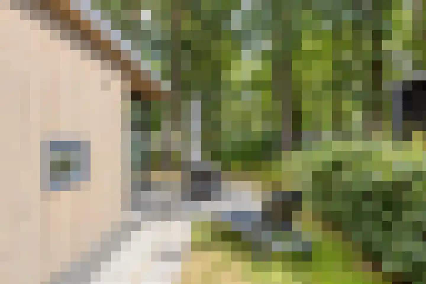 Patrijslaan 4 H 604 Mierlo thumbnail 24
