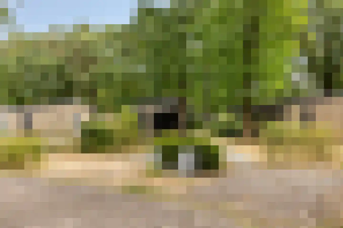 Patrijslaan 4 H 604 Mierlo thumbnail 4