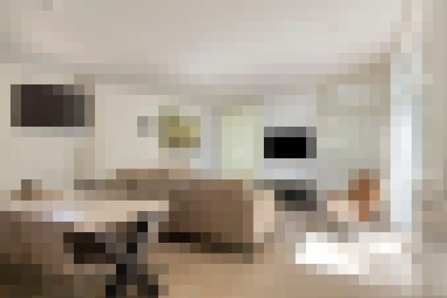 Patrijslaan 4 H 604 Mierlo thumbnail 5