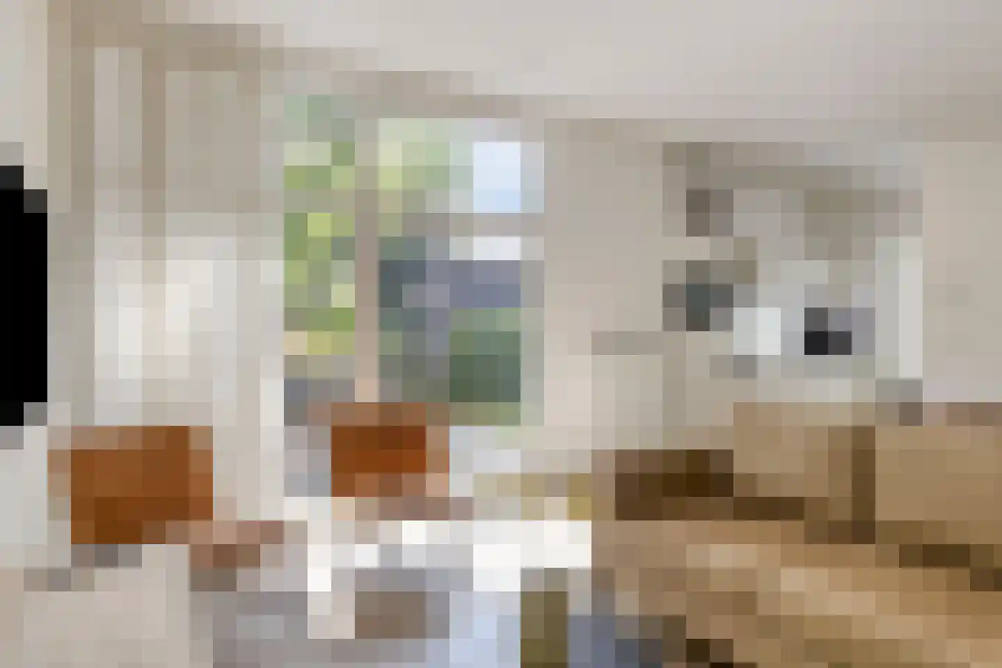 Patrijslaan 4 H 604 Mierlo thumbnail 8