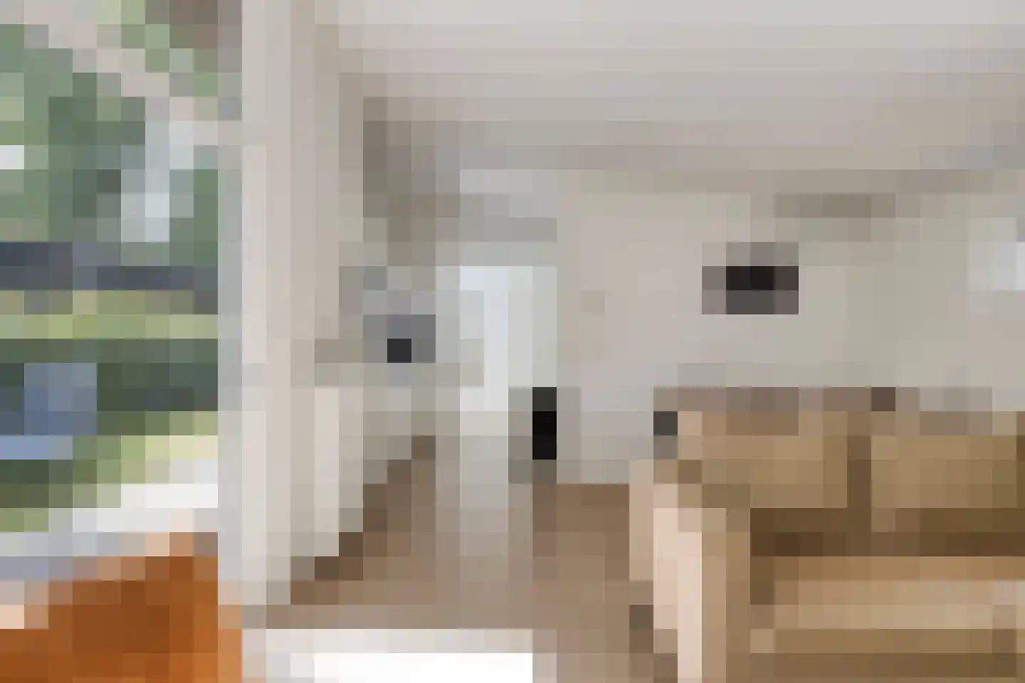 Patrijslaan 4 H 604 Mierlo thumbnail 9