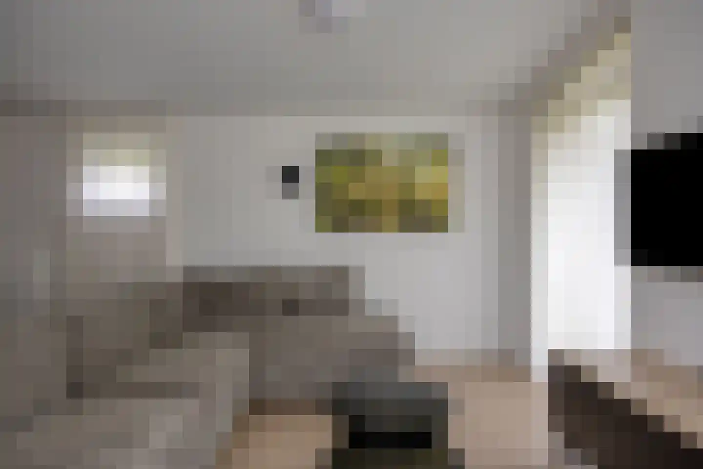 Patrijslaan 4 H 621 Mierlo thumbnail 11