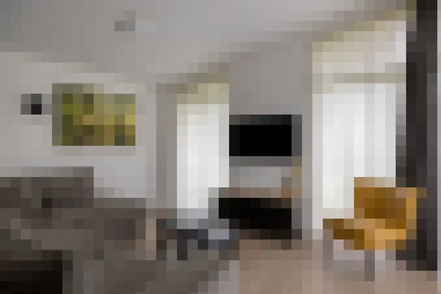 Patrijslaan 4 H 621 Mierlo thumbnail 12