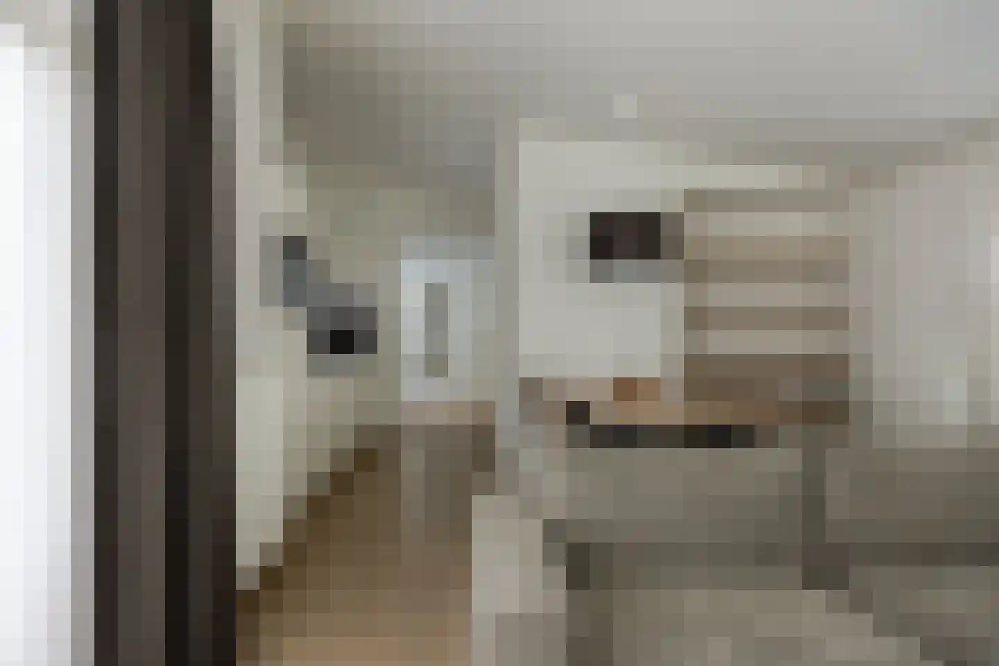 Patrijslaan 4 H 621 Mierlo thumbnail 15