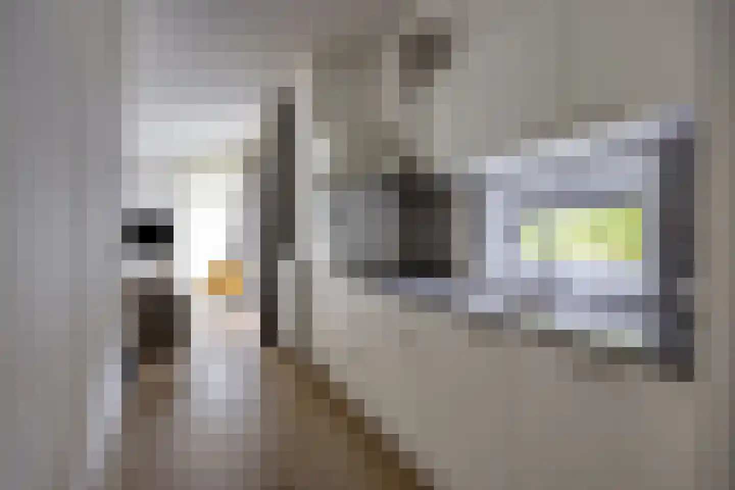 Patrijslaan 4 H 621 Mierlo thumbnail 16