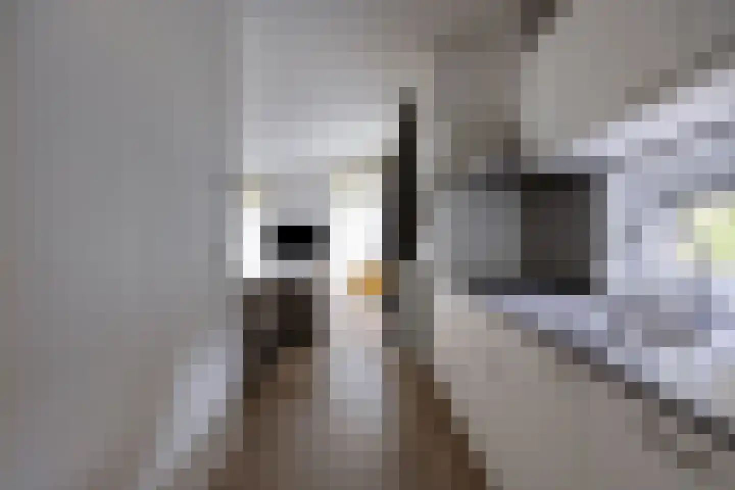 Patrijslaan 4 H 621 Mierlo thumbnail 17