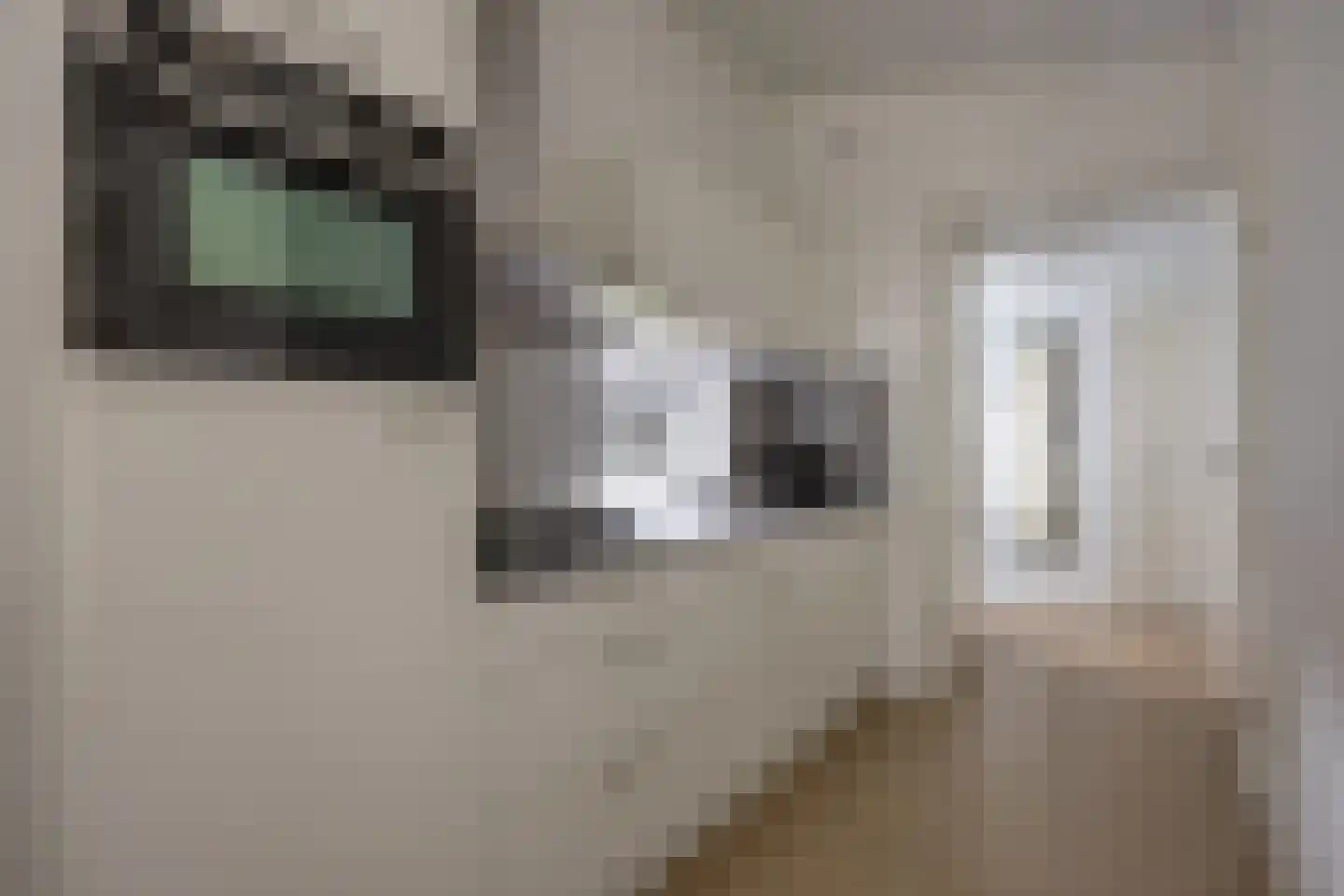 Patrijslaan 4 H 621 Mierlo thumbnail 19