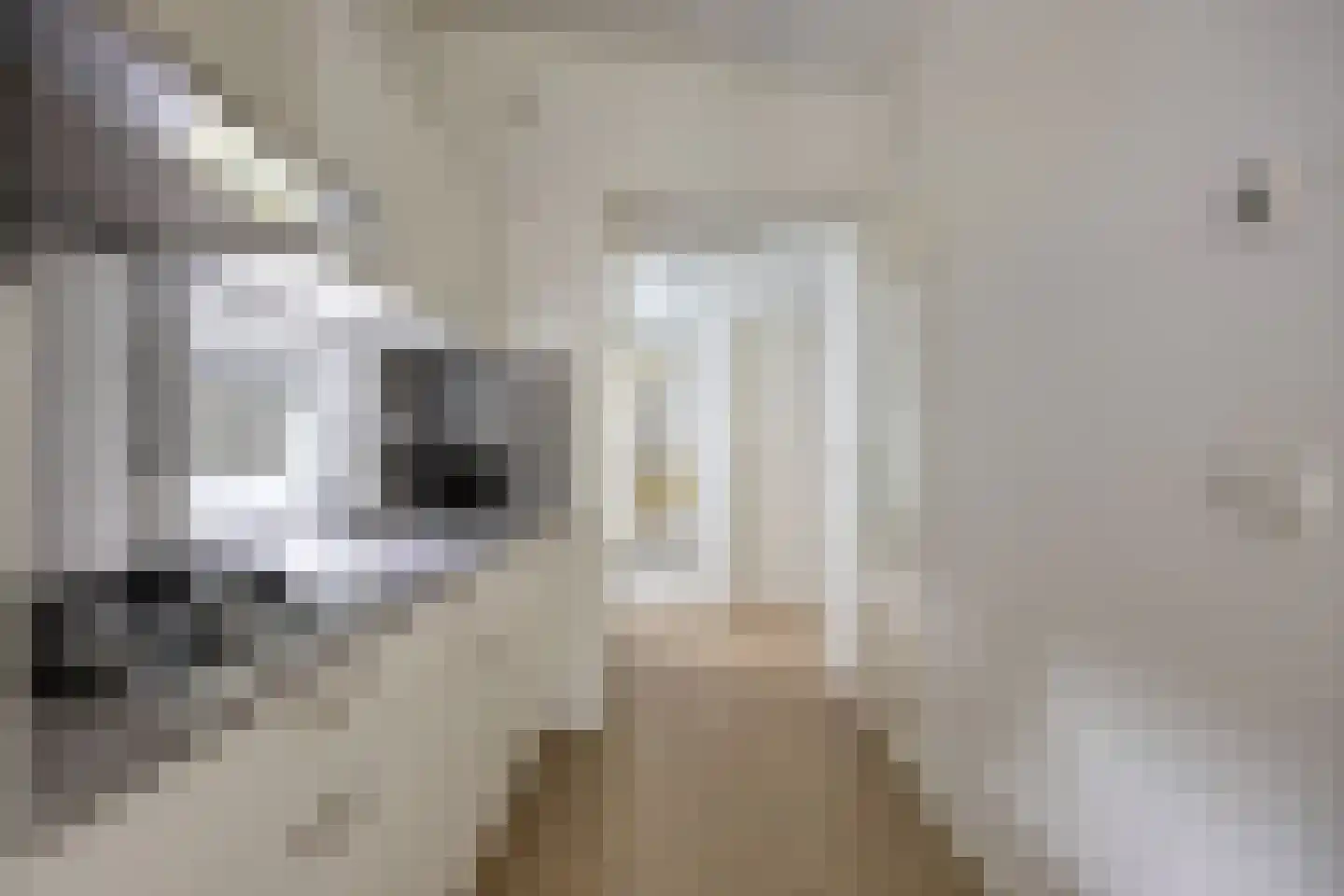 Patrijslaan 4 H 621 Mierlo thumbnail 20