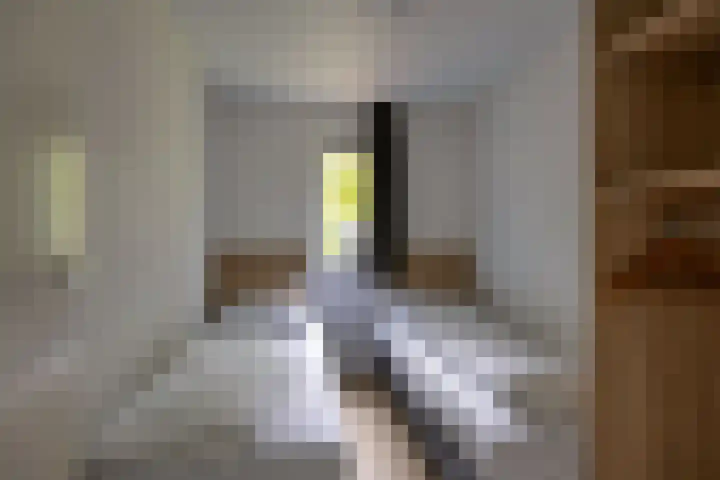 Patrijslaan 4 H 621 Mierlo thumbnail 21