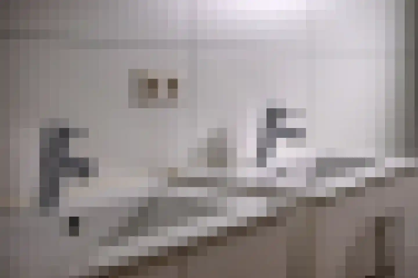 Patrijslaan 4 H 621 Mierlo thumbnail 25