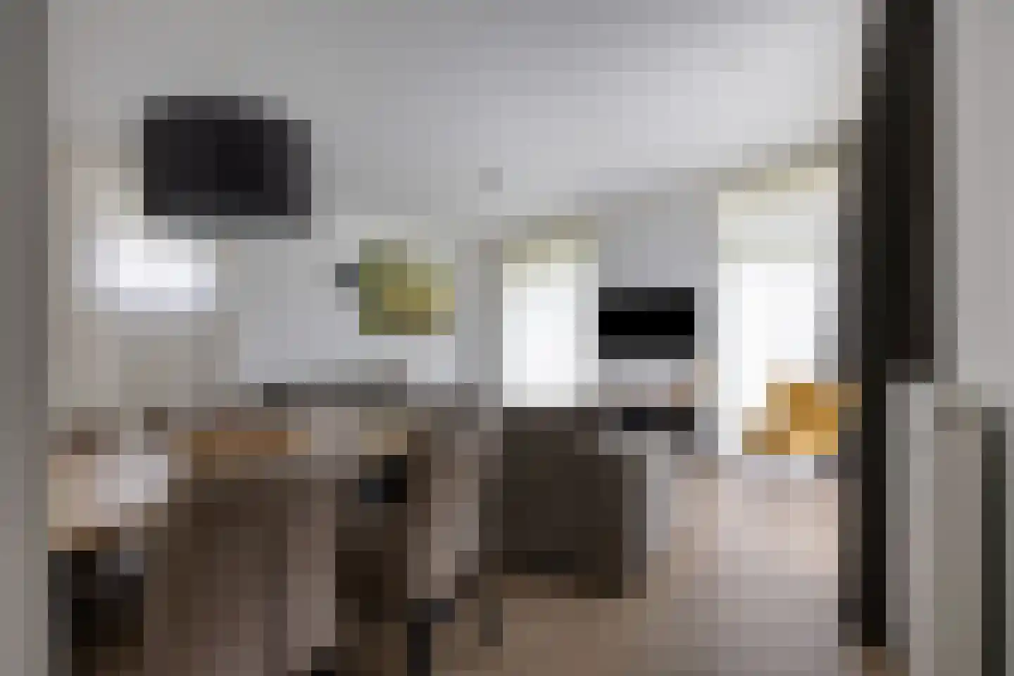 Patrijslaan 4 H 621 Mierlo thumbnail 7