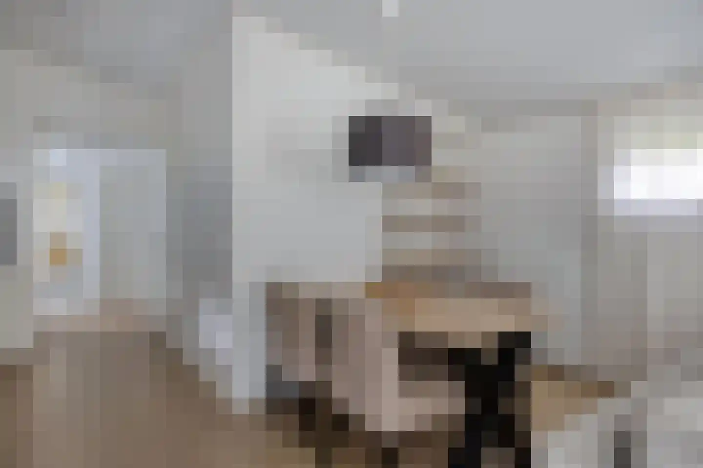 Patrijslaan 4 H 621 Mierlo thumbnail 8