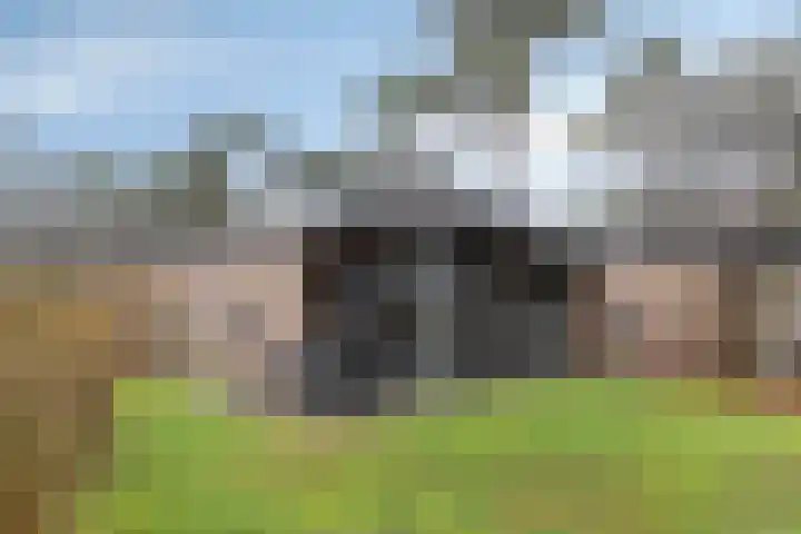 Patrijslaan 4 H 623 in Mierlo