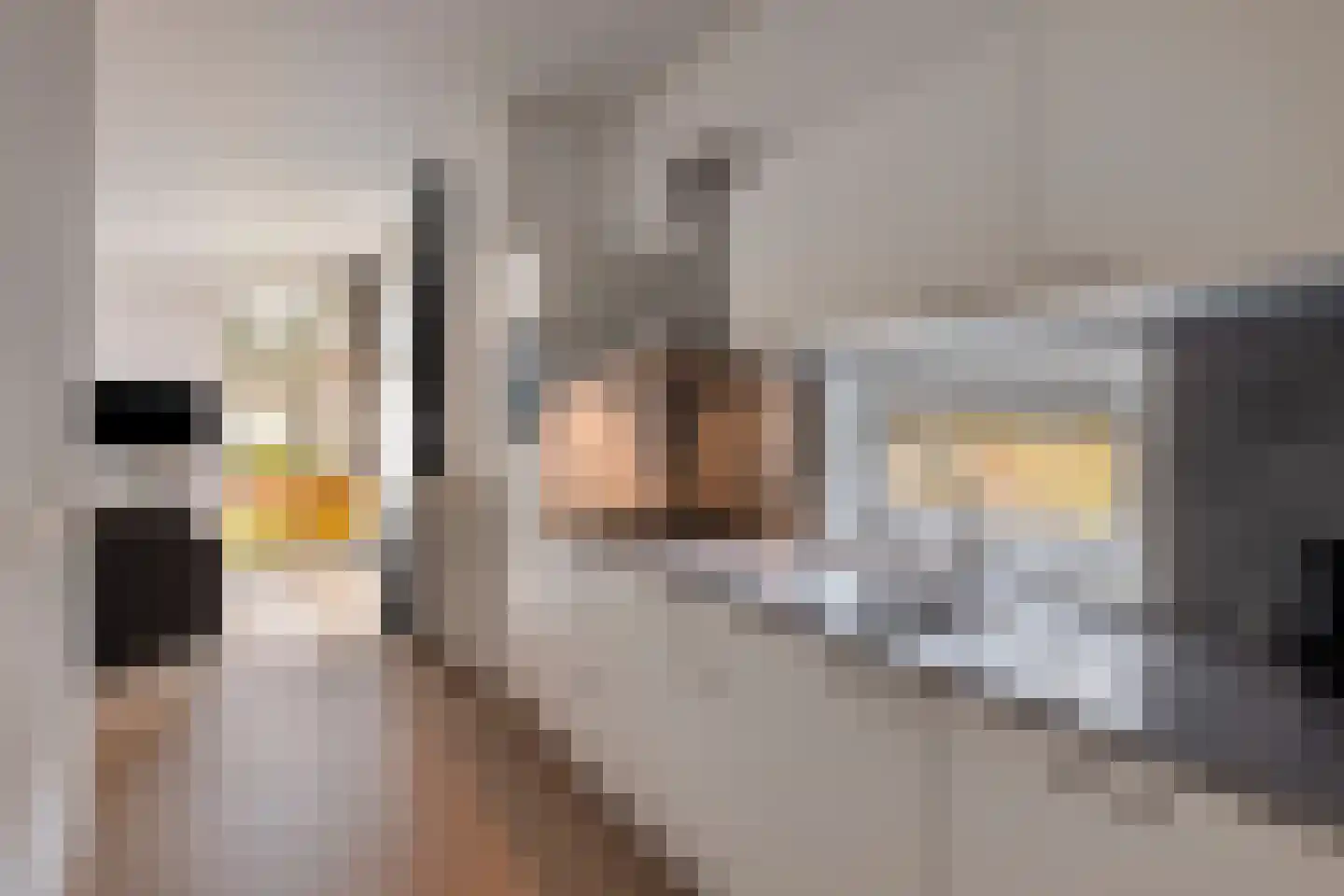 Patrijslaan 4 H 623 Mierlo thumbnail 11
