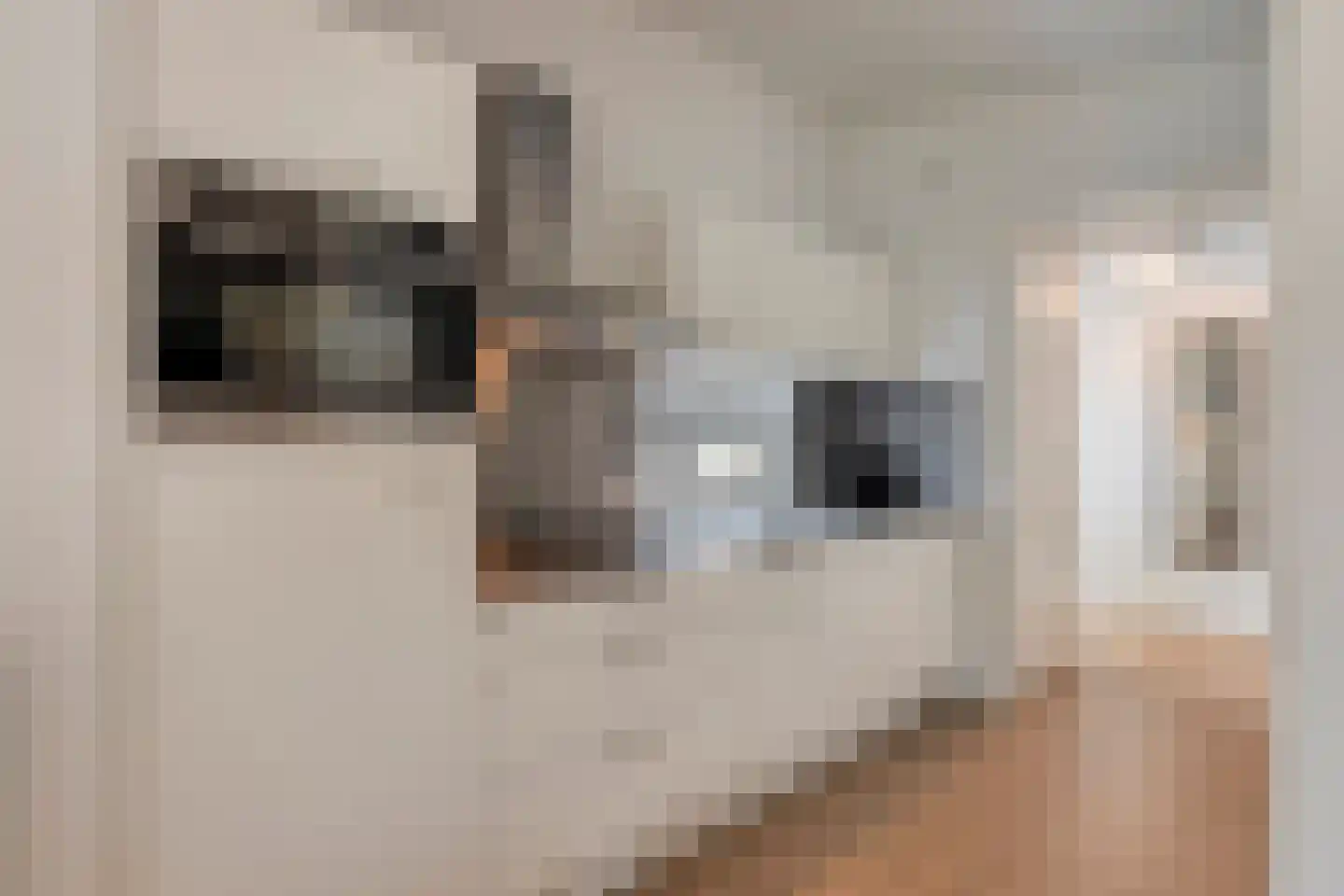 Patrijslaan 4 H 623 Mierlo thumbnail 12