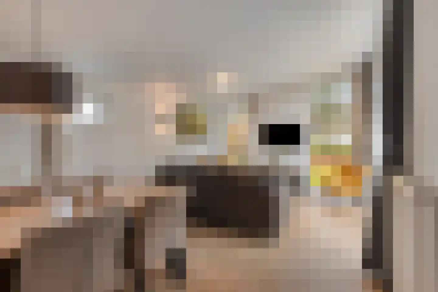 Patrijslaan 4 H 623 Mierlo thumbnail 14