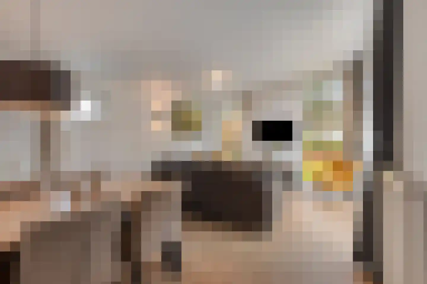 Patrijslaan 4 H 623 Mierlo thumbnail 14