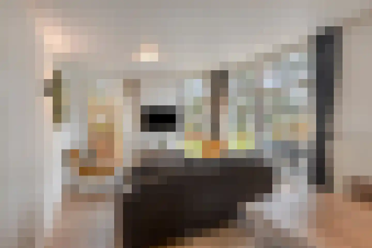 Patrijslaan 4 H 623 Mierlo thumbnail 15