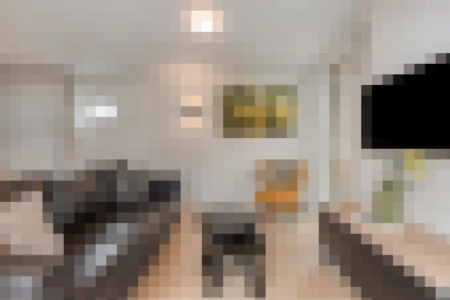 Patrijslaan 4 H 623 Mierlo thumbnail 17