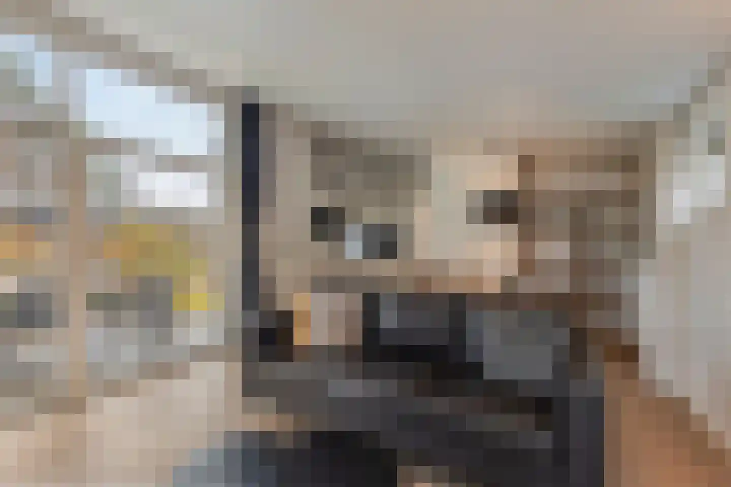 Patrijslaan 4 H 623 Mierlo thumbnail 18