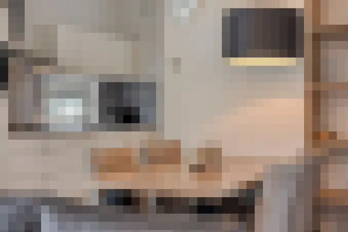 Patrijslaan 4 H 623 Mierlo thumbnail 19