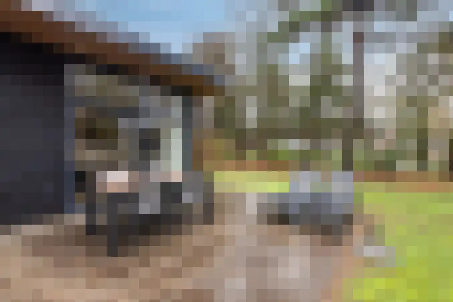 Patrijslaan 4 H 623 Mierlo thumbnail 27