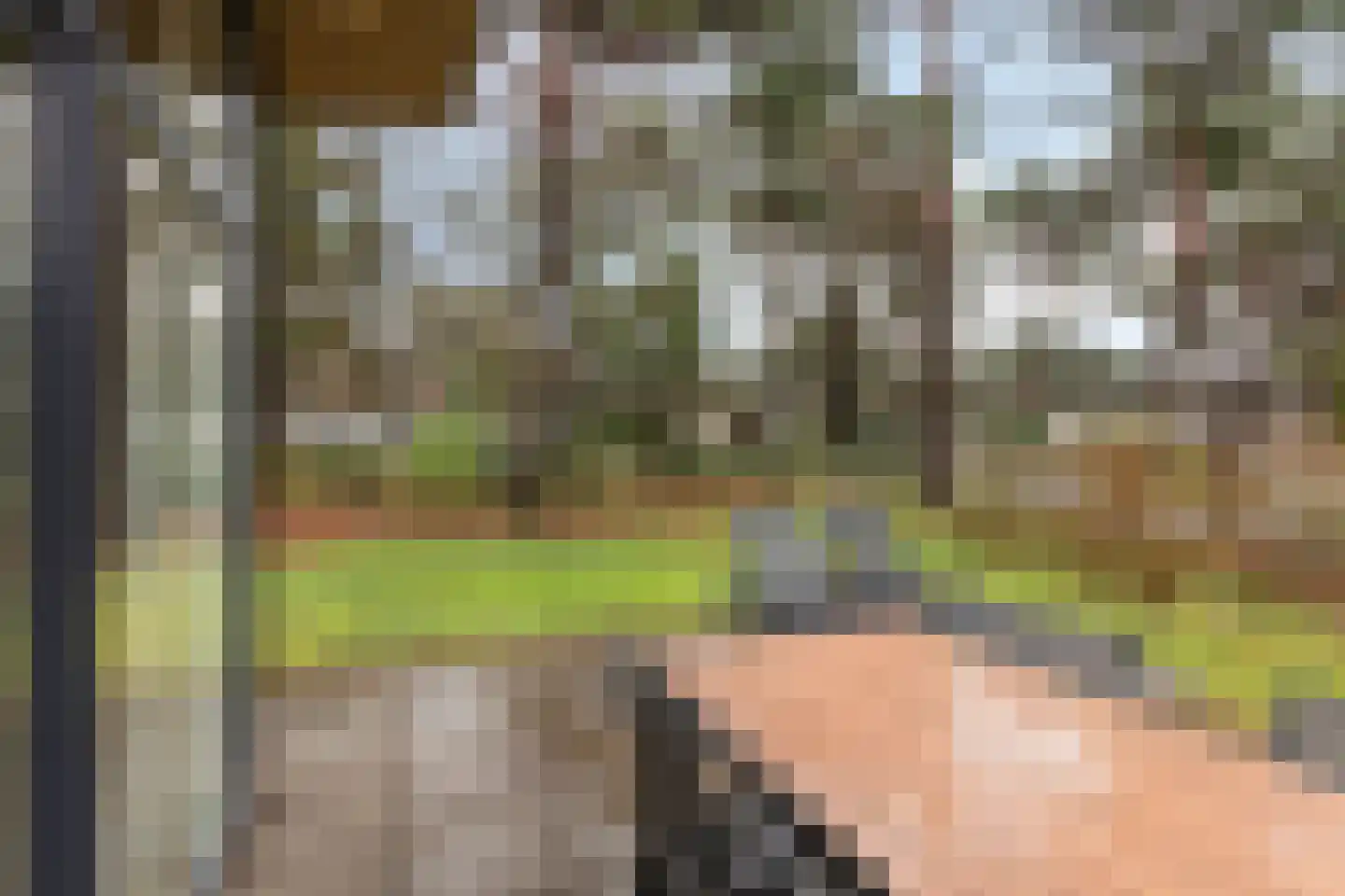 Patrijslaan 4 H 623 Mierlo thumbnail 28