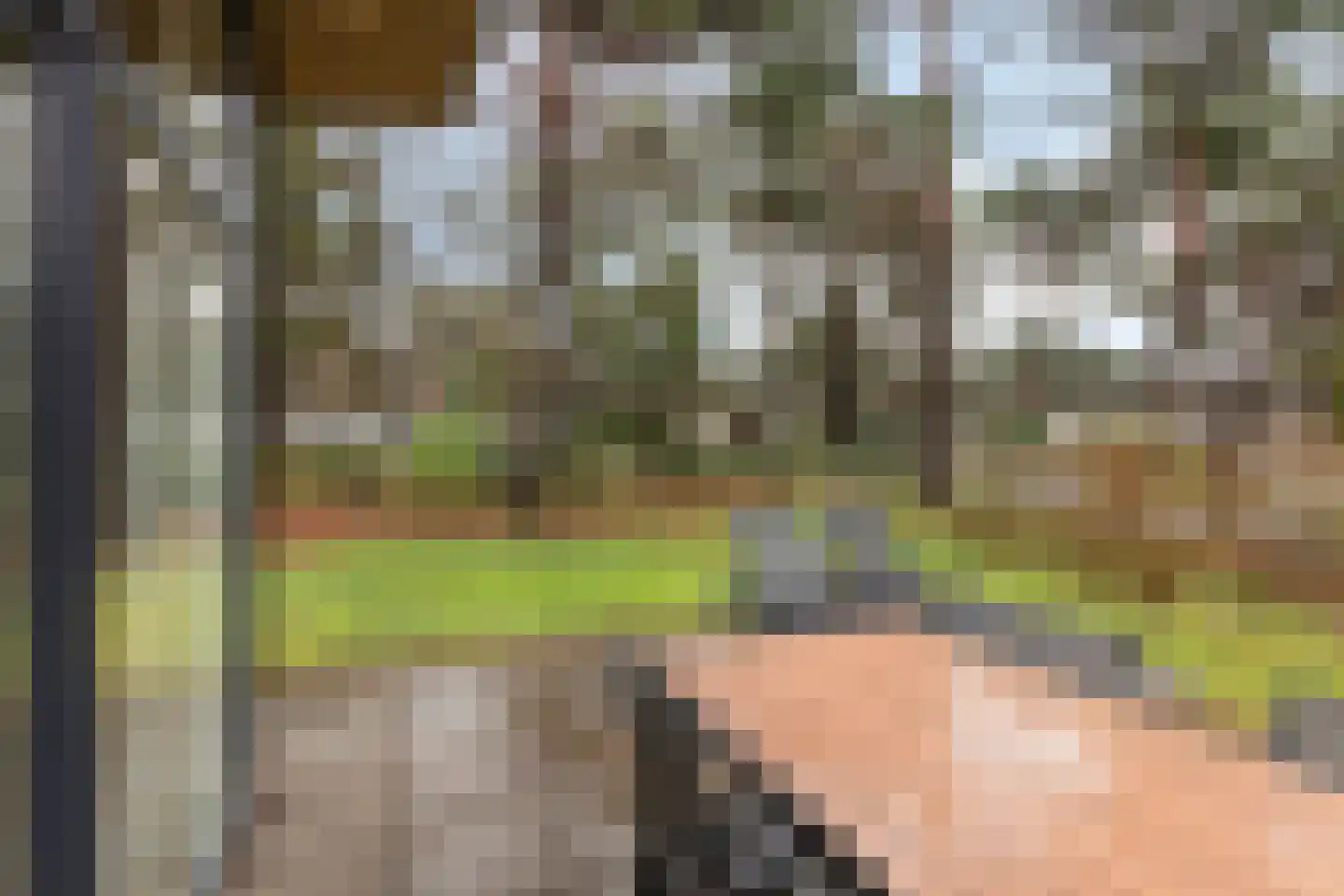 Patrijslaan 4 H 623 Mierlo thumbnail 28