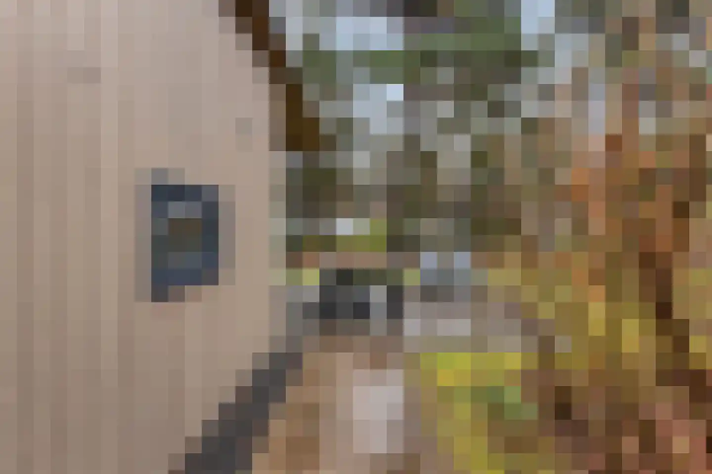 Patrijslaan 4 H 623 Mierlo thumbnail 29