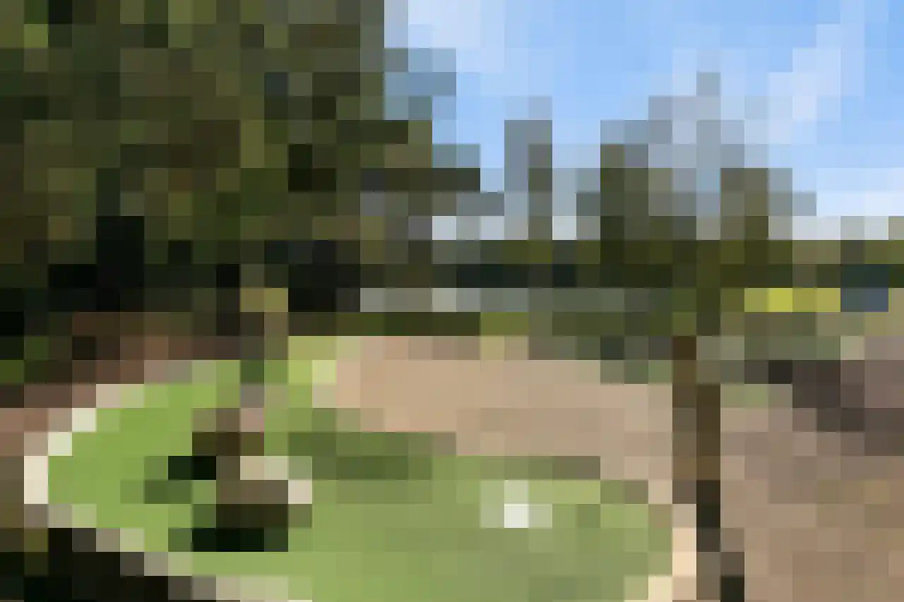 Patrijslaan 4 H 623 Mierlo thumbnail 32