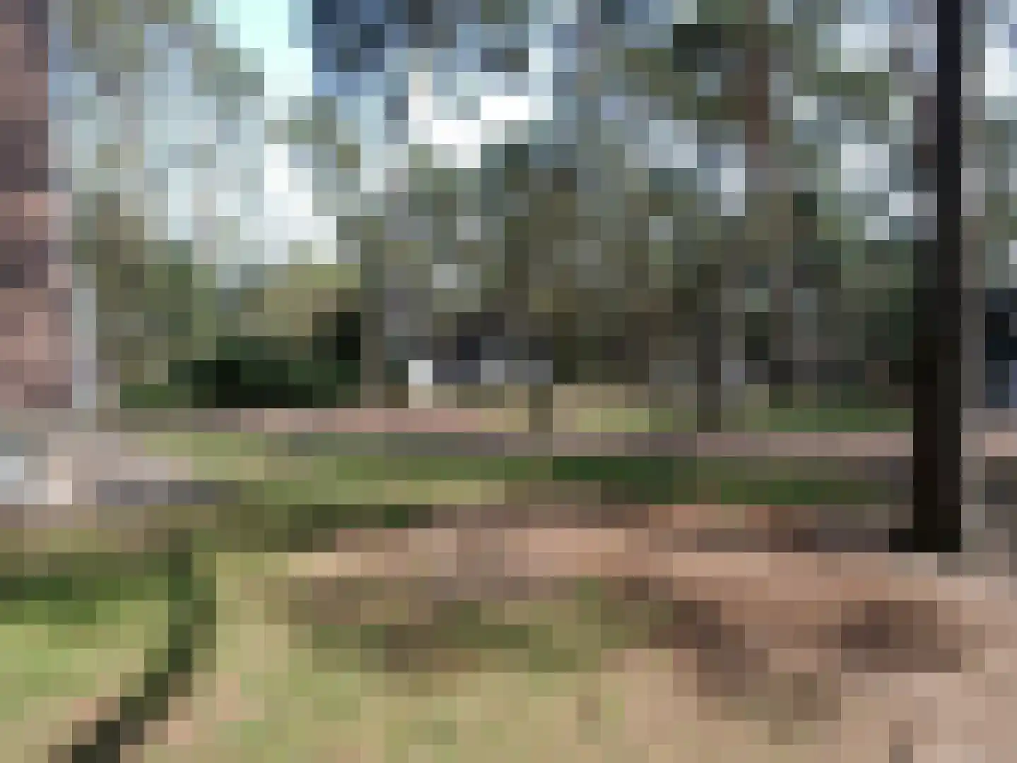 Patrijslaan 4 H 623 Mierlo thumbnail 37