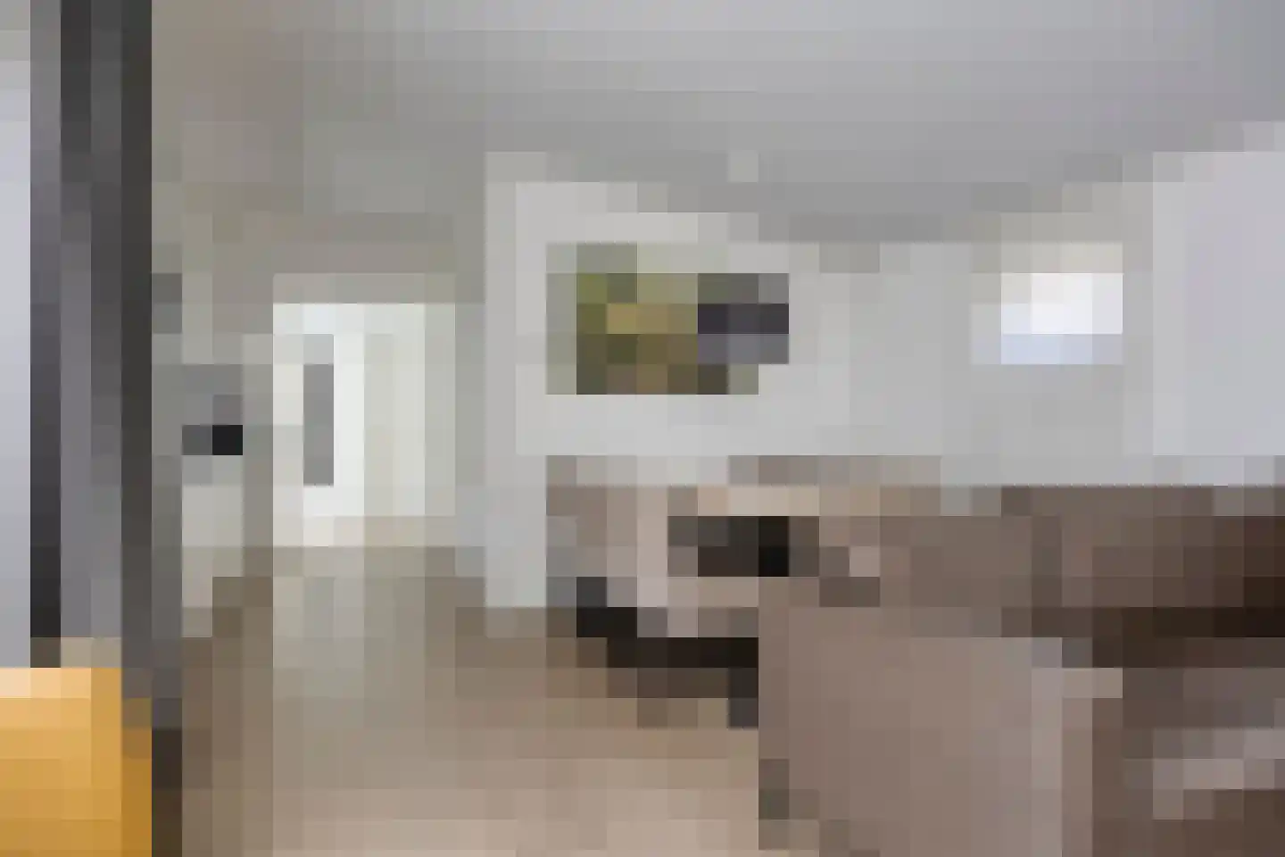 Patrijslaan 4 H 627 Mierlo thumbnail 11