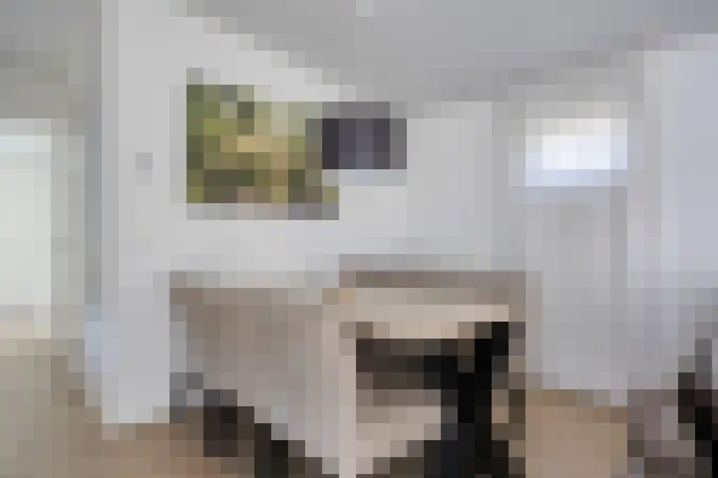 Patrijslaan 4 H 627 Mierlo thumbnail 12