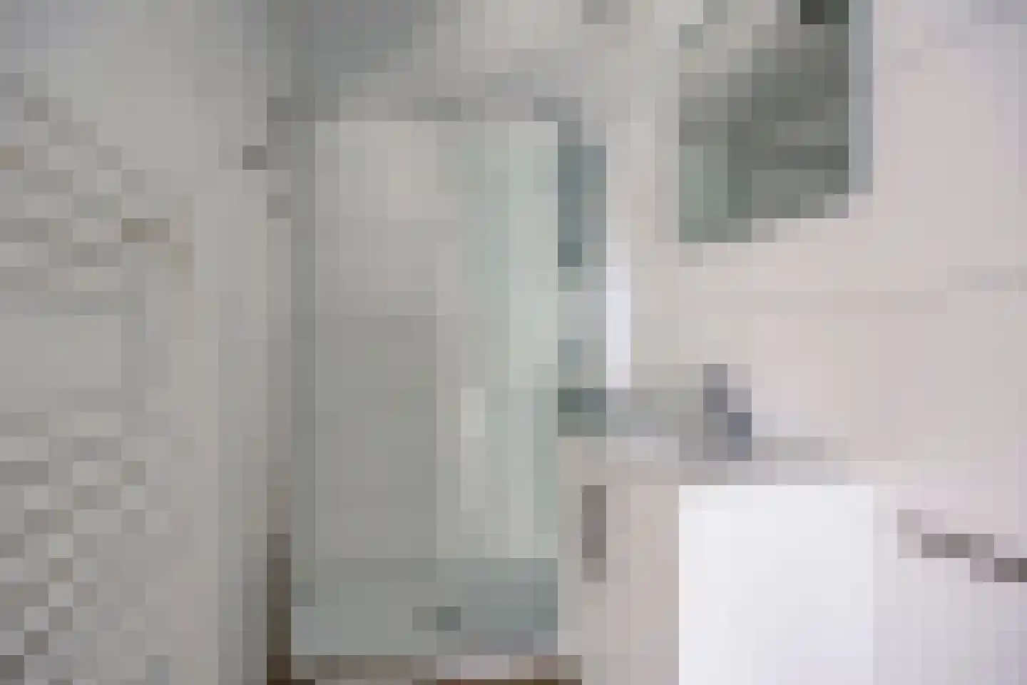 Patrijslaan 4 H 627 Mierlo thumbnail 18