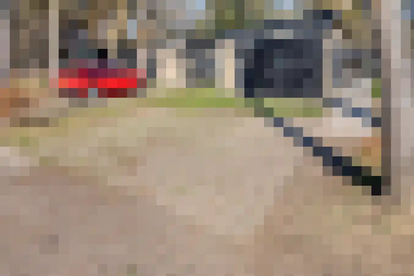 Patrijslaan 4 H 627 Mierlo thumbnail 23