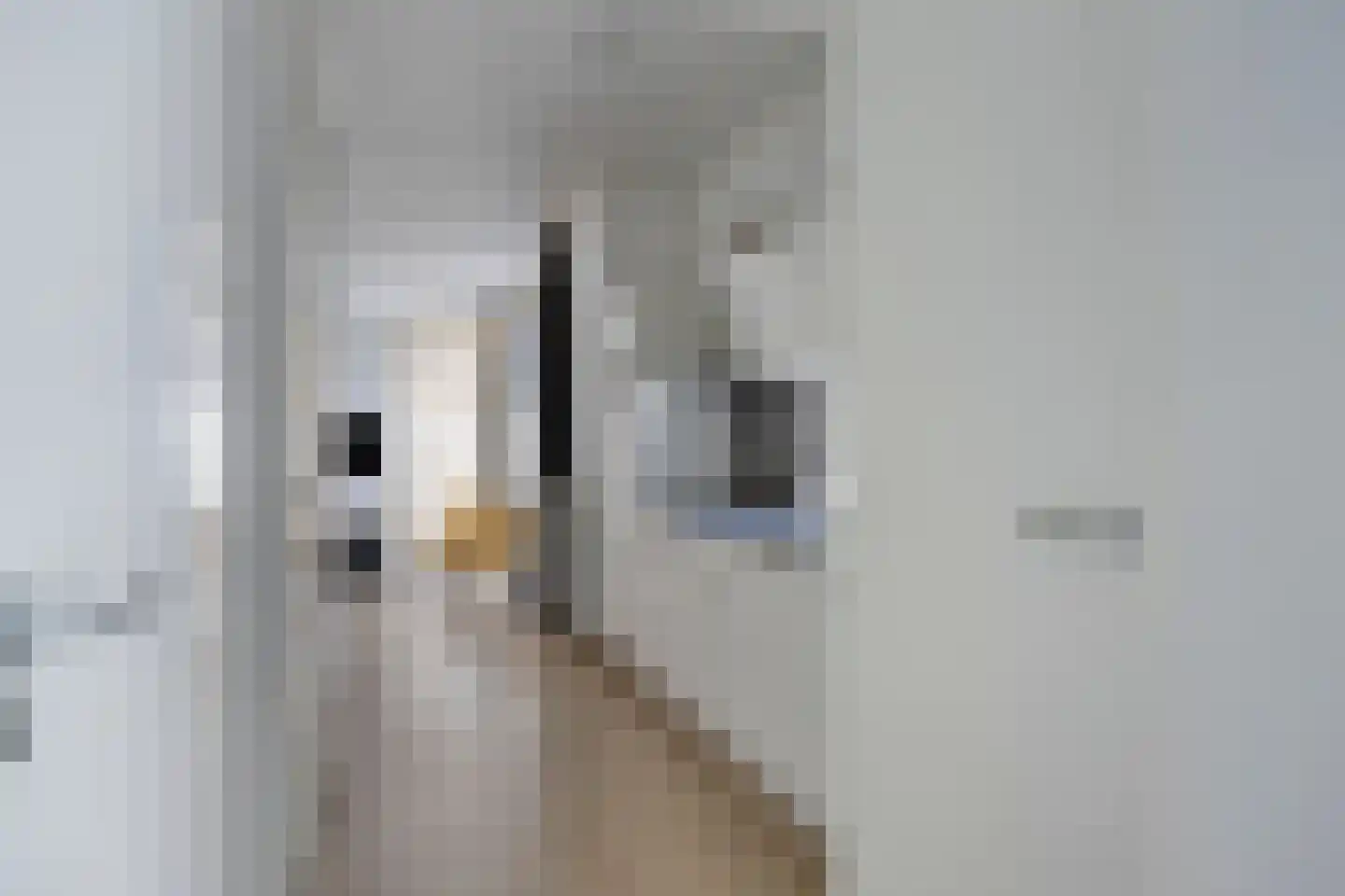 Patrijslaan 4 H 627 Mierlo thumbnail 7