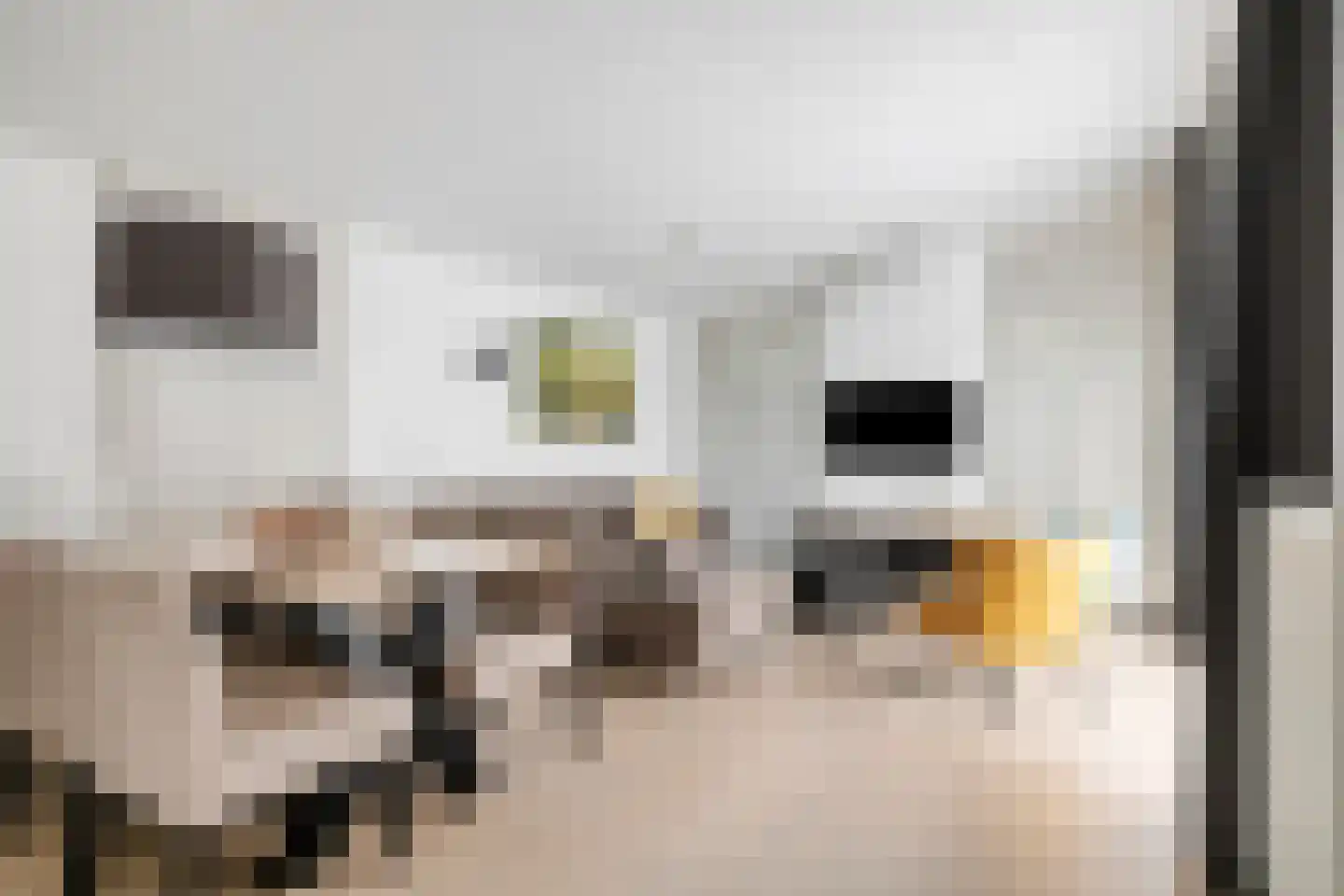 Patrijslaan 4 H 629 Mierlo thumbnail 10