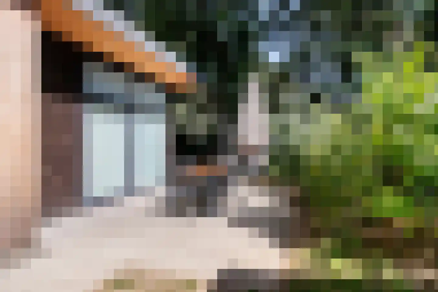 Patrijslaan 4 H 629 Mierlo thumbnail 13
