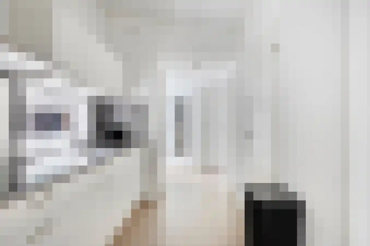 Patrijslaan 4 H 629 Mierlo thumbnail 15