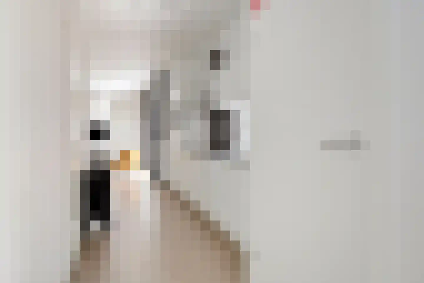 Patrijslaan 4 H 629 Mierlo thumbnail 16