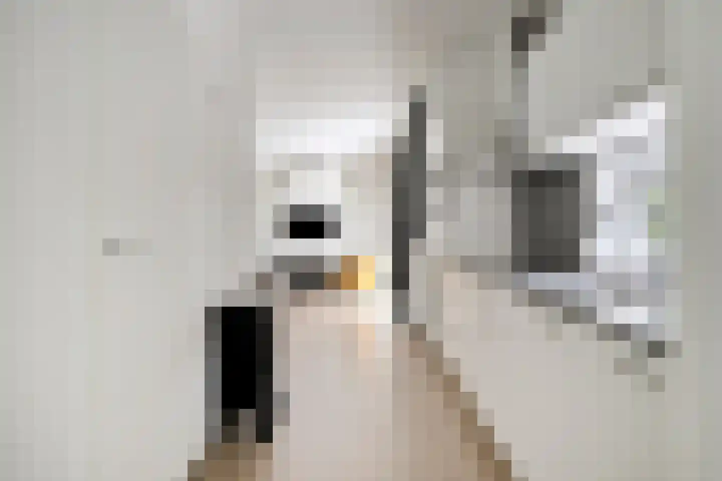 Patrijslaan 4 H 629 Mierlo thumbnail 17