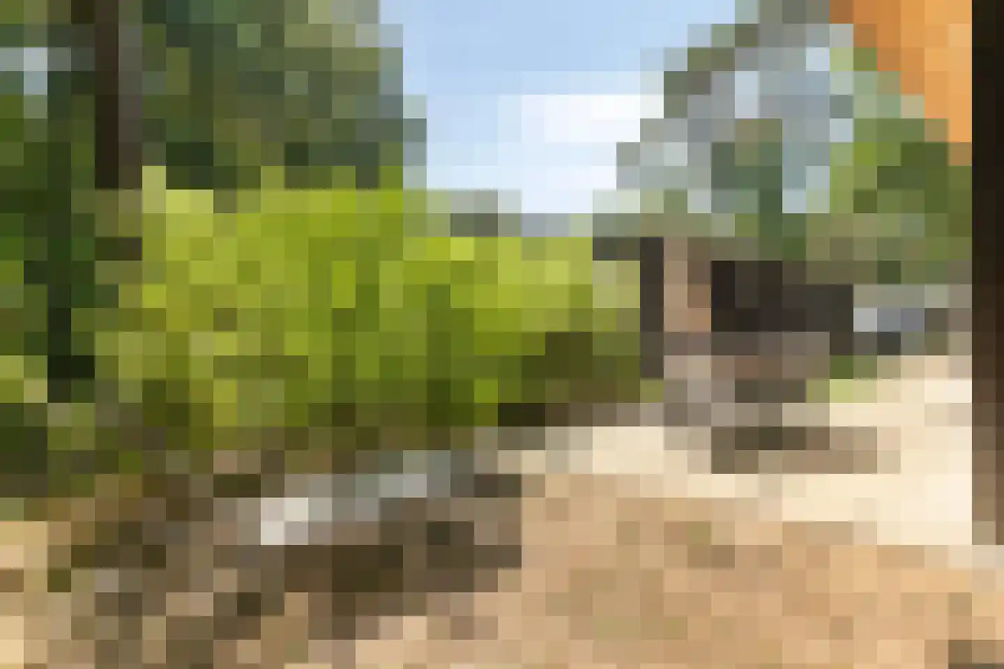 Patrijslaan 4 H 629 Mierlo thumbnail 24