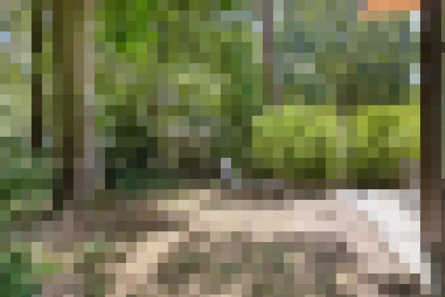 Patrijslaan 4 H 629 Mierlo thumbnail 25